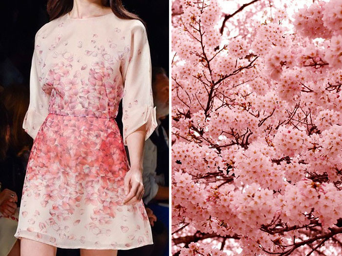 Blumarine весна/лето 2015 и Японская вишня в цвету Blumarine весна/лето 2015 и Японская вишня в цвету