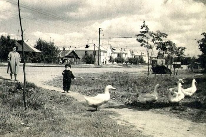 Деревенская Москва 50-х - 60-х годов XX века (36 фото)