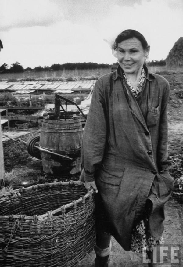 Повседневная жизнь советских людей  (50-60-х гг.) в фотографиях Lisa Larsen, фото № 2