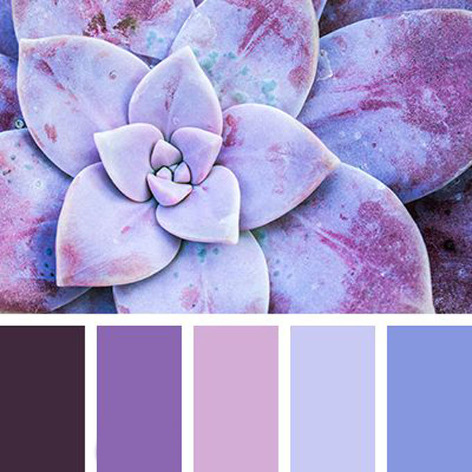 Вдохновение цветом: глубокий темно-фиолетовый, фото № 18