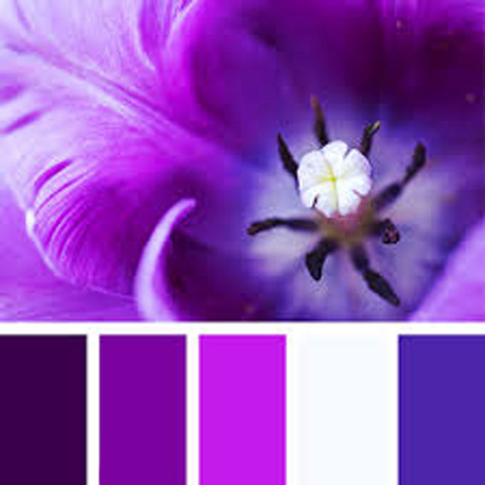 Вдохновение цветом: глубокий темно-фиолетовый, фото № 7
