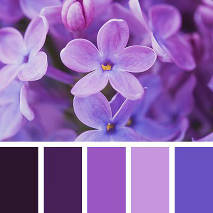 Вдохновение цветом: глубокий темно-фиолетовый, фото № 19