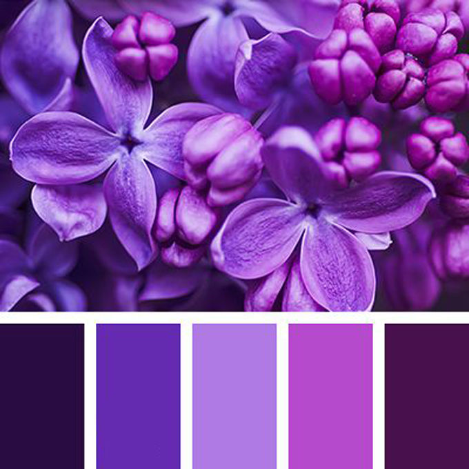 Вдохновение цветом: глубокий темно-фиолетовый, фото № 17