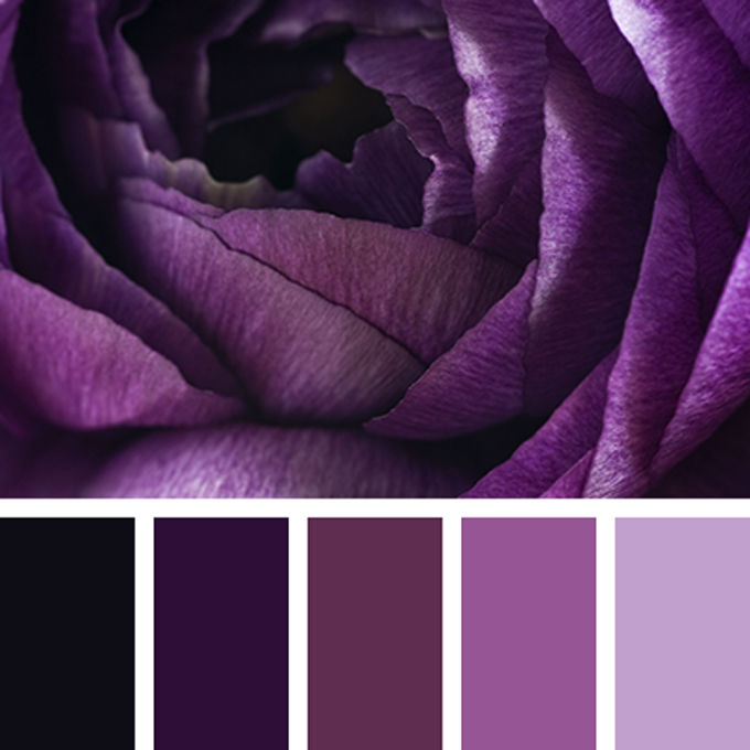 Вдохновение цветом: глубокий темно-фиолетовый, фото № 10
