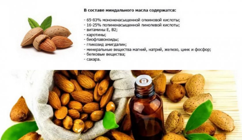 Состав миндального масла
