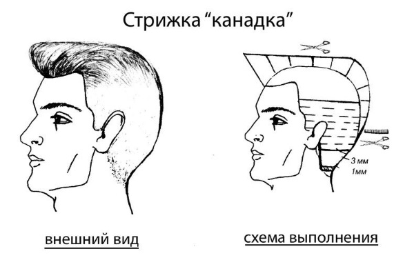 Детские стрижки для мальчиков. Фото модных, модельных, коротких, креативных