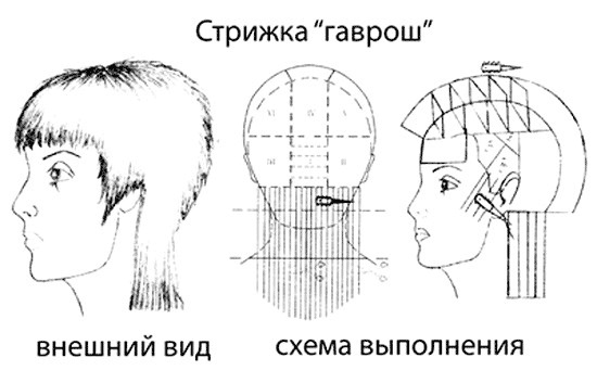 Детские стрижки для мальчиков. Фото модных, модельных, коротких, креативных