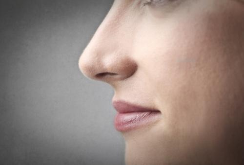 Длинный нос, как визуально сделать меньше. Как сделать нос уже и меньше в домашних условиях