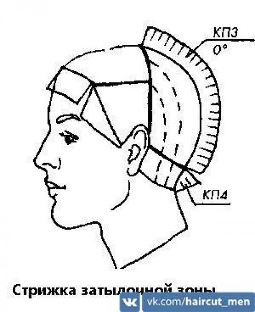 Схема мужской стрижки. Классическая мужская стрижка - точная пошаговая схема выполнения: