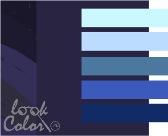 сочетание темно-фиолетового цвета с синим