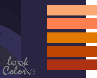 сочетание темно-фиолетового цвета с оранжевым