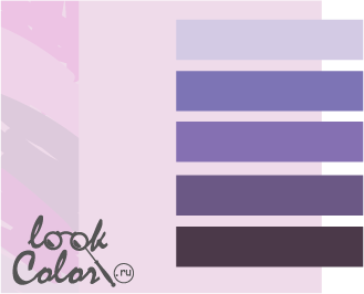 сочетание цветов бело-лиловый и фиолетовый