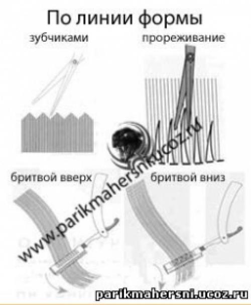 Линия стрижки задаётся положением пальцев которая при срезе. Операции стрижки