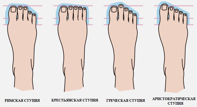 Какая у вас ступня: греческая, римская, аристократическая или крестьянская?