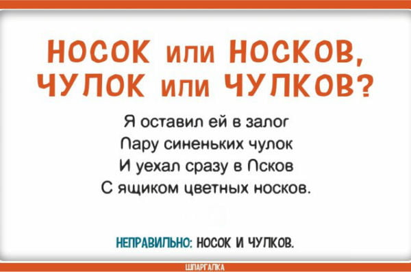 Носок или носков. Чулок или чулков