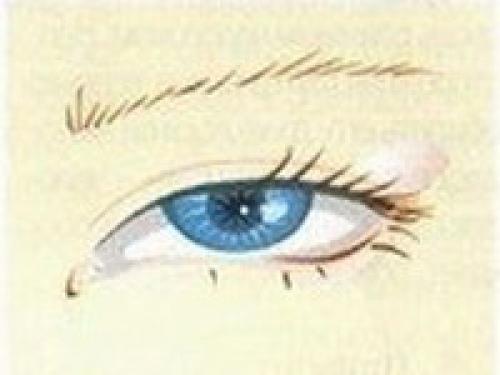 Характер по форме глаз. Тест по форме глаз: о чем может рассказать ваш взгляд