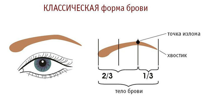 Классическая форма брови