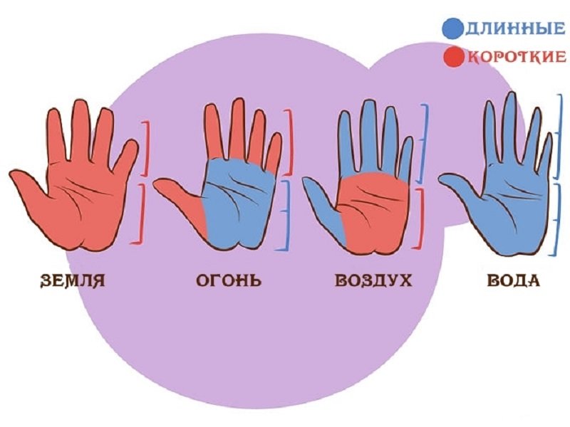 хиромантия типы рук