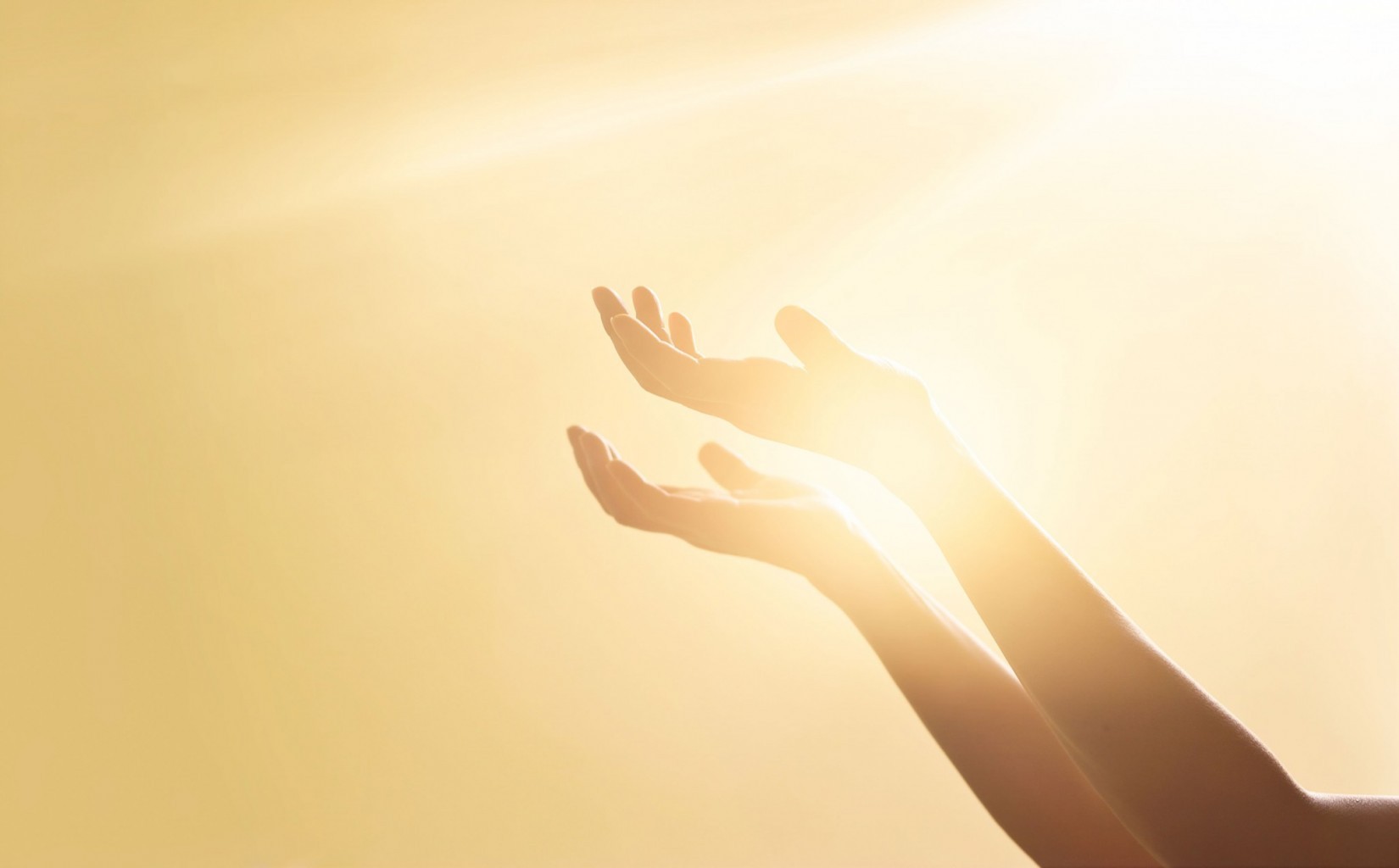 солнце, руки, благодарность