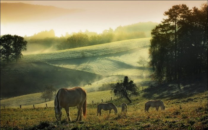 Красоты мира (59 фото)